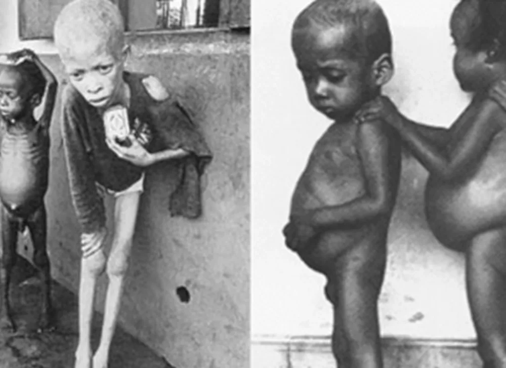  • Biafrais